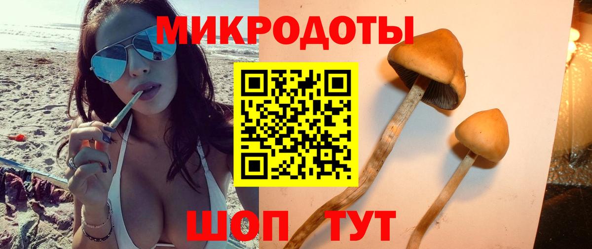 Рассказово  Псилоцибиновые грибы прущие грибы  Галлюциногенные грибы прущие грибы  Вход с VPN 